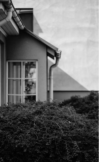 法规6.png